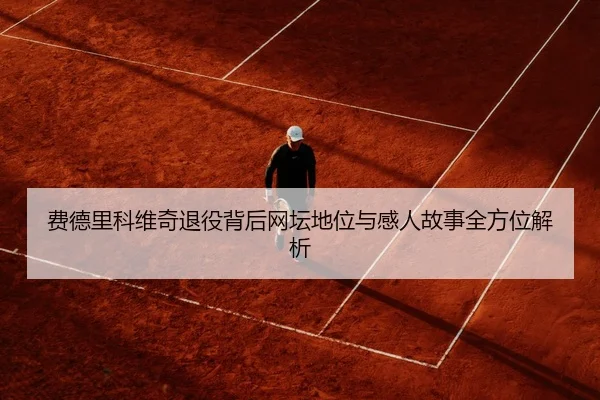 费德里科维奇退役背后网坛地位与感人故事全方位解析